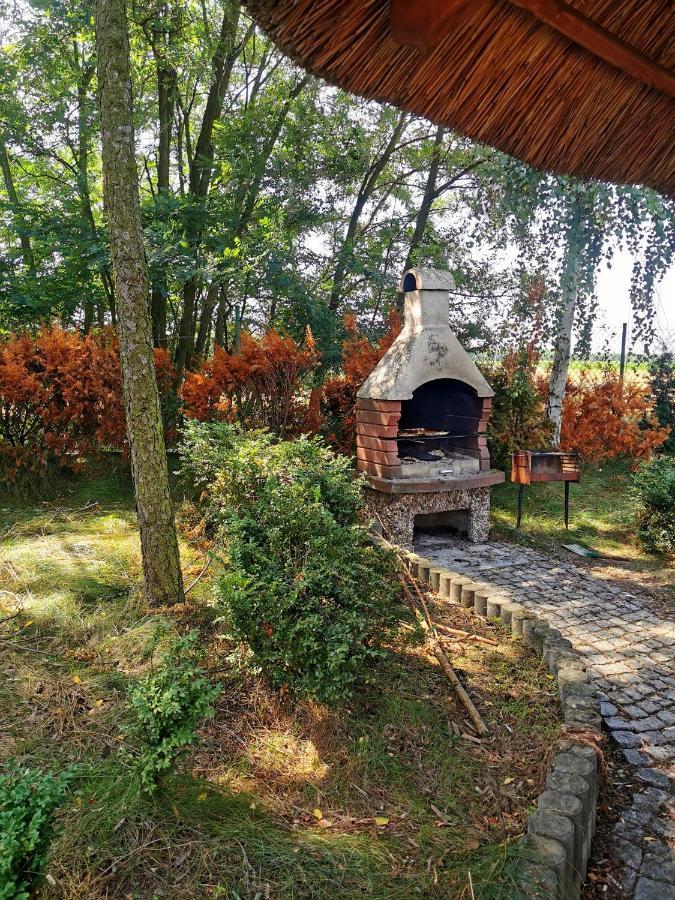 Domek Na Wsi Nad Jeziorem , Prywatny Staw Kamienczyk Dezerta Exterior foto